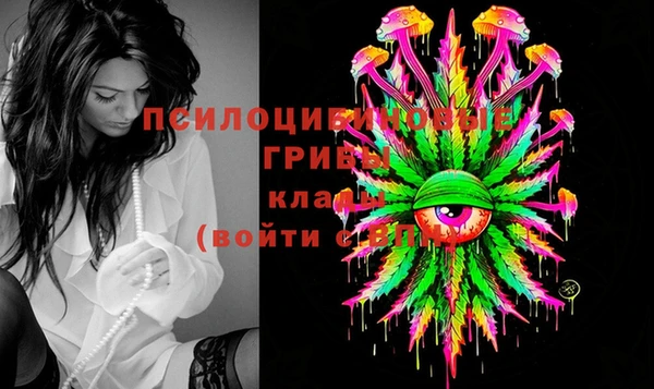 стафф Заволжье